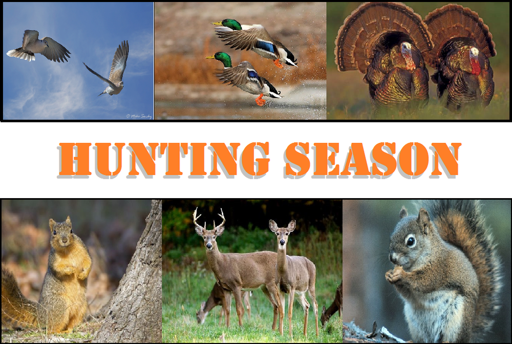 Hunting Season.png